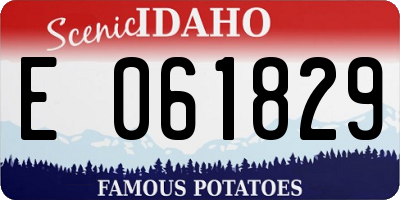 ID license plate E061829