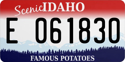ID license plate E061830