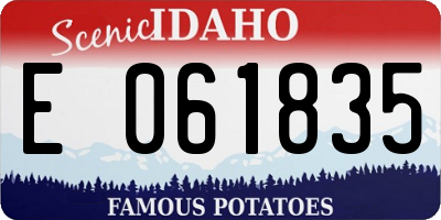 ID license plate E061835