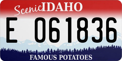 ID license plate E061836
