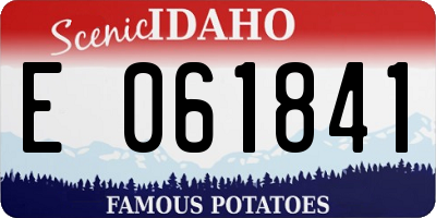 ID license plate E061841
