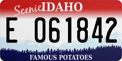 ID license plate E061842