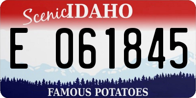 ID license plate E061845