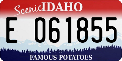ID license plate E061855