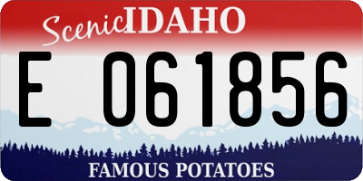 ID license plate E061856
