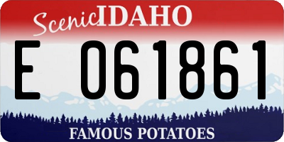 ID license plate E061861