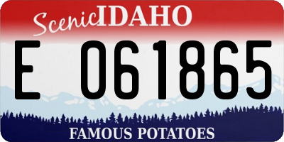 ID license plate E061865