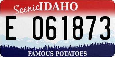 ID license plate E061873
