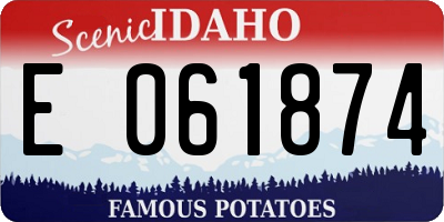 ID license plate E061874