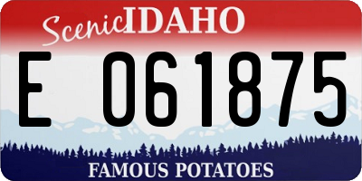 ID license plate E061875