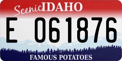 ID license plate E061876