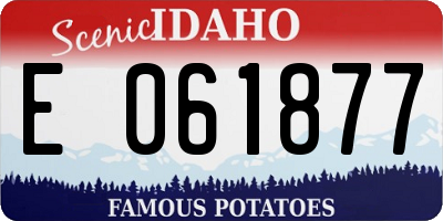ID license plate E061877