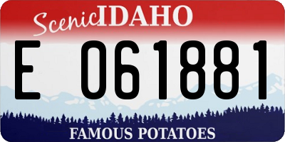 ID license plate E061881