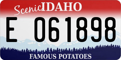 ID license plate E061898