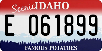 ID license plate E061899