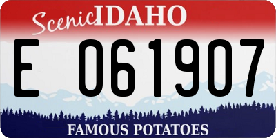 ID license plate E061907