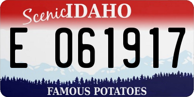 ID license plate E061917