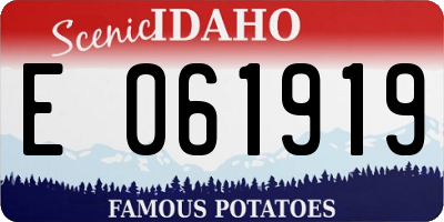ID license plate E061919