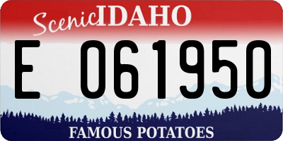 ID license plate E061950