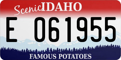 ID license plate E061955
