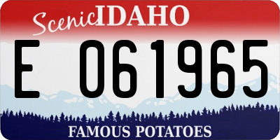 ID license plate E061965