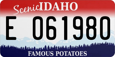 ID license plate E061980