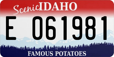 ID license plate E061981