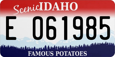 ID license plate E061985