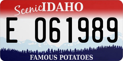 ID license plate E061989