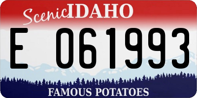 ID license plate E061993