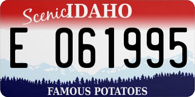 ID license plate E061995