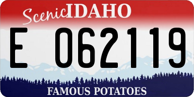 ID license plate E062119