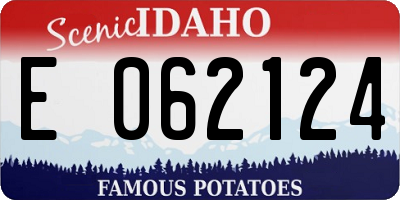ID license plate E062124