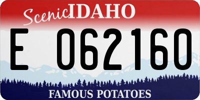 ID license plate E062160
