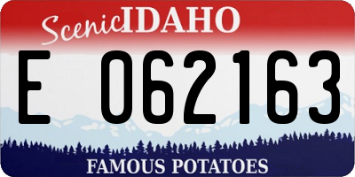 ID license plate E062163