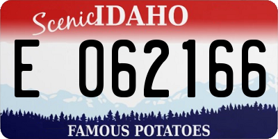 ID license plate E062166
