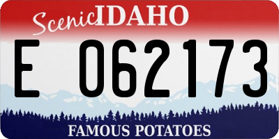 ID license plate E062173