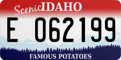 ID license plate E062199