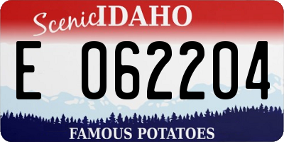 ID license plate E062204