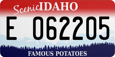 ID license plate E062205