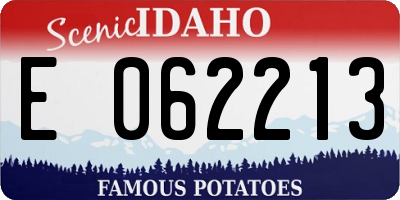 ID license plate E062213