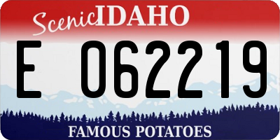 ID license plate E062219