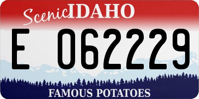 ID license plate E062229