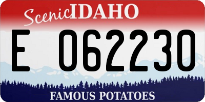 ID license plate E062230