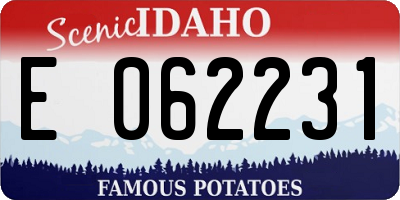 ID license plate E062231