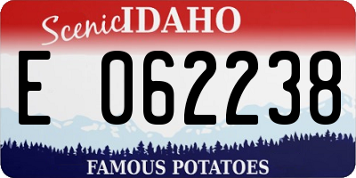 ID license plate E062238