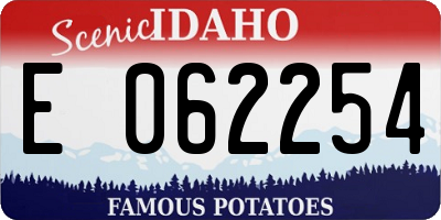 ID license plate E062254