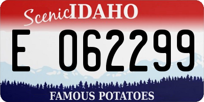 ID license plate E062299