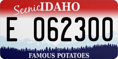 ID license plate E062300