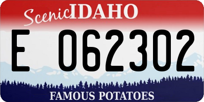 ID license plate E062302